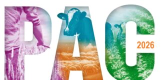 Solicitud Única PAC 2026