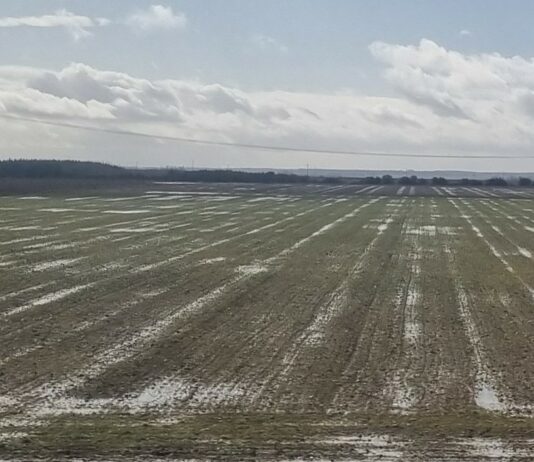 ASAJA pide una reunión urgente con la Consejería para aclarar que requisitos de la PAC se flexibilizarán por los fenómenos meteorológicos adversos