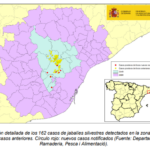 Captura de pantalla 2026-02-17 183039