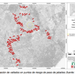 Captura de pantalla 2026-02-17 183046