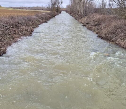 ASAJA reclama para el campo de Castilla y León las mismas ayudas que aprobó el gobierno para Extremadura y Andalucía