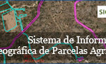 El FEGA publica los municipios en los que, de manera excepcional, no se utilizarán las referencias SIGPAC para la identificación de las parcelas agrícolas en la campaña 2026
