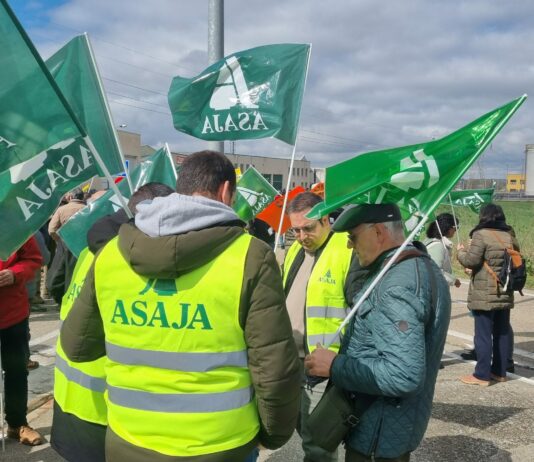 Informe sobre la ayuda del Gobierno a agricultores y ganaderos