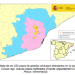 PPA. Actualización de la situación en jabalíes en Cataluña