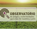observatorio plagas