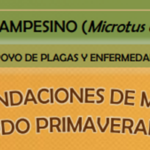 topillo campesino 2026