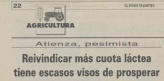 1995: El sistema de cuotas