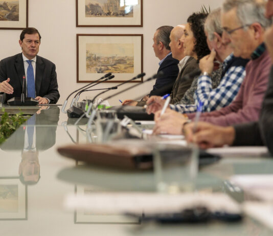 Consenso de Junta, OPAS y Cooperativas de Castilla y León para pedir al Ministerio medidas que protejan a la cabaña bovina de la DNC