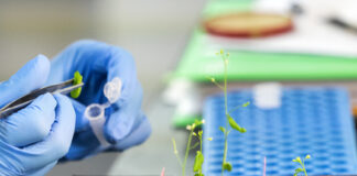 El Consejo presenta el nuevo reglamento UE sobre nuevas técnicas genómicas (NTG)