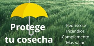 A tiempo de suscribir el seguro que complementa la cobertura en caso de pedrisco e incendio