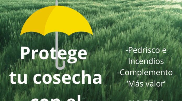 A tiempo de suscribir el seguro que complementa la cobertura en caso de pedrisco e incendio