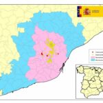 PPA. Actualización de la situación en jabalíes en Cataluña