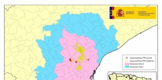 PPA. Actualización de la situación en jabalíes en Cataluña