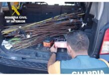 ASAJA Castilla y León valora la ley sobre multirreincidencia, un paso adelante en la protección del campo y el medio rural, y pide al Gobierno una aplicación efectiva