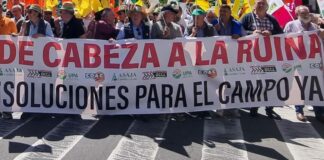 Las organizaciones agrarias de Castilla y León se concentrarán frente a la sede de Presidencia de la Junta por la rentabilidad del sector