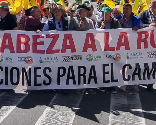 Las organizaciones agrarias de Castilla y León se concentrarán frente a la sede de Presidencia de la Junta por la rentabilidad del sector
