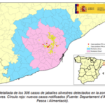Peste Porcina Africana: actualización de la situación en Cataluña