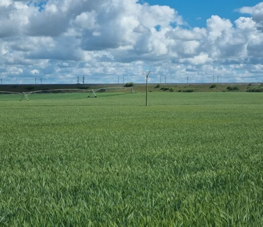 El campo de Castilla y León celebra San Isidro sin expectativas sólidas que garanticen su futuro