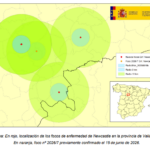 Focos enfermedad Newcastle – Actualización