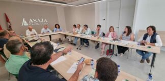 La cosecha de cereal arranca antes de lo habitual en Castilla y León con un hundimiento de las previsiones
