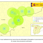 Newcastle aviar: actualización de situación de enfermedad en la provincia de Valladolid