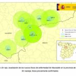 Newcastle aviar: actualización de situación de enfermedad en la provincia de Valladolid