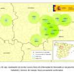 Actualización Newcastle aviar en Castilla y León: la enfermedad avanza en Valladolid y salta también a la provincia de Zamora
