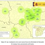 Los focos de Newcastle se extienden a 5 provincias de Castilla y León