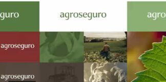 Agroseguro continúa con el pago de indemnizaciones a productores de cultivos herbáceos