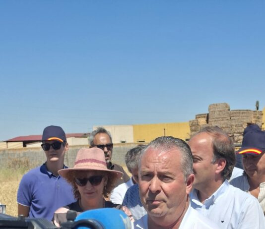 Los datos de la Consejería confirman la debacle productiva de la cosecha de cereal 2026