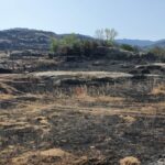 La Junta aprueba un plan extraordinario de ayudas para recuperar las zonas afectadas por los incendios forestales del verano de 2026