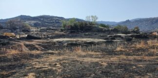 Declarada la situación de alerta por riesgo de incendios forestales del 11 al 13 de agosto en Castilla y Léon