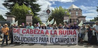 Los agricultores de Castilla y León piden a la Junta ayudas directas y medidas “serias” que despejen el futuro del cereal