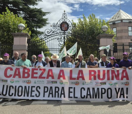 Los agricultores de Castilla y León piden a la Junta ayudas directas y medidas “serias” que despejen el futuro del cereal