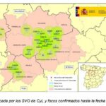 Actualización Newclastle Castilla y León: nuevo foco en Segovia