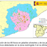 Actualización de la situación de Peste Porcina Africana en jabalíes silvestres en Cataluña