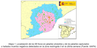 Actualización de la situación de Peste Porcina Africana en jabalíes silvestres en Cataluña