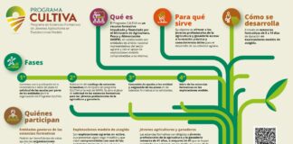 Programa Cultiva 2026: Una de cada tres de las explotaciones que ofrecen estancias formativas es de Castilla y León