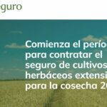 Comienza el período para contratar el seguro de cultivos herbáceos extensivos para la cosecha 2027