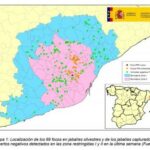 Peste porcina africana: actualización a 10/09/2026
