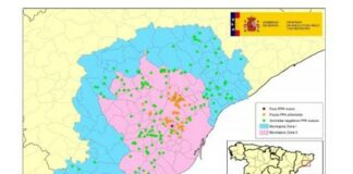 Peste porcina africana: actualización a 10/09/2026
