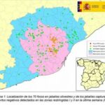 Peste Porcina Africana: actualización 17/09/2026