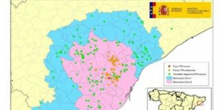 Peste Porcina Africana: actualización 17/09/2026