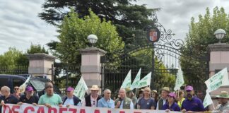 Las OPAS de Castilla y León piden una reunión urgente con el presidente de la Junta ante el inicio de una campaña agrícola crítica