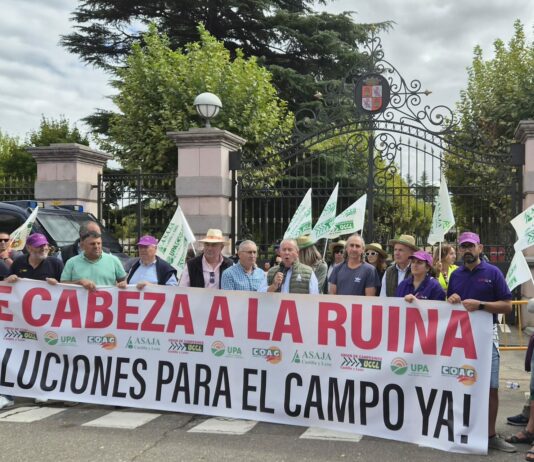 Las OPAS de Castilla y León piden una reunión urgente con el presidente de la Junta ante el inicio de una campaña agrícola crítica