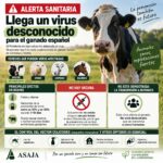 Prevención ante la aparición de Shamonda, un virus desconocido para el ganado español