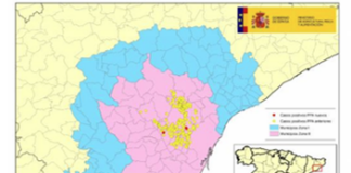 Peste Porcina Africana: actualización 01/10/2026