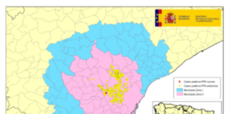 Peste Porcina Africana: actualización 15/10/2026