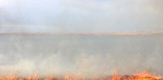 Importante – Aviso sobre la quema de rastrojos en Castilla y León