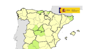 Actualización virus Shamonda en España